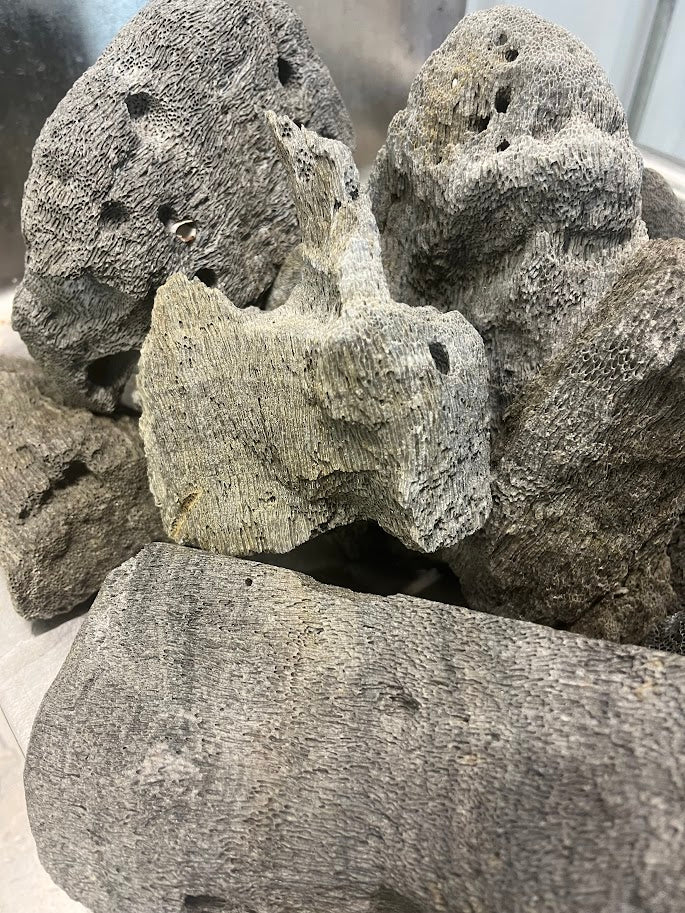 Pumice Rocks (Peruvian Grey) 1lb