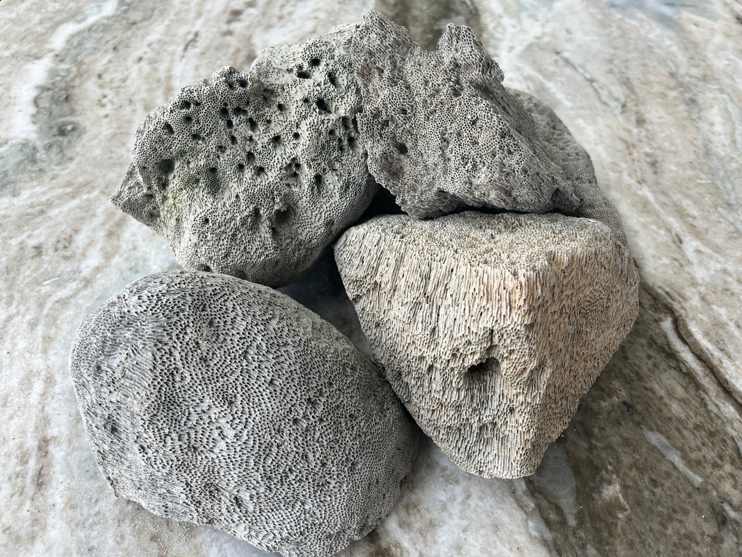 Pumice Rocks (Peruvian Grey) 1lb